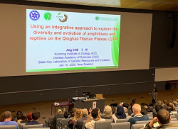 中心车静研究员团队参加“第九届世界两栖爬行动物学大会”